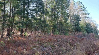 114 Weare Rd, Henniker, NH 03242 - photo 6