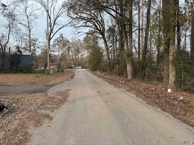 25428 Wisteria Rd, Springfield, LA 70462 - photo 6