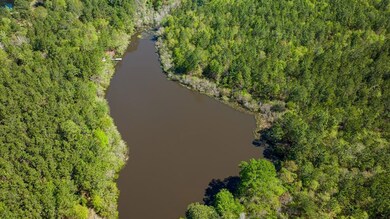 0 Highway 82, Sylvester, GA 31791 - photo 4