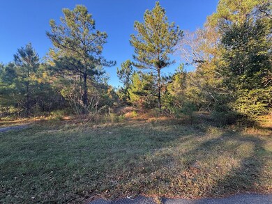 0 E Wilson St, Dothan, AL 36303 - photo 4