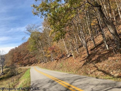TBD Holly Meadows Rd, Parsons, WV 26287 - photo 6