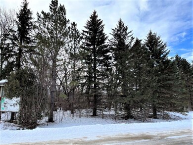 40507 Pine View Dr, Sauk Centre, MN 56378 - photo 3