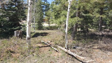 580 S Scenic Dr, Duck Creek Village, UT 84762 - photo 4