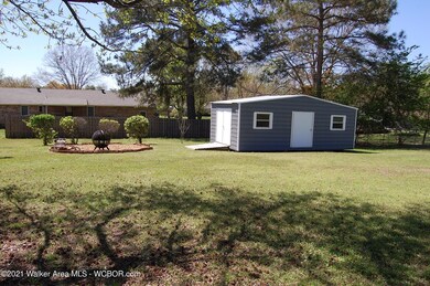 back yard