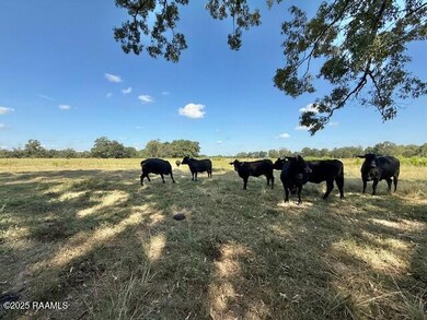 Tbd Judice Rd, Sunset, LA 70584 - photo 4