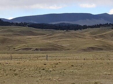00 Comstick Rd, Hartsel, CO 80449 - photo 7