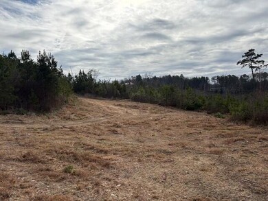 3692 Round Pond Rd, La Fayette, GA 30728 - photo 3