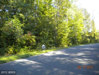 0 Mt Hope Church Rd unit 1003806946, Stafford, VA 22554 - photo 4