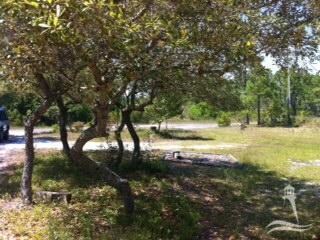 481 W South Shore Dr, Boiling Spring Lakes, NC 28461 - photo 3