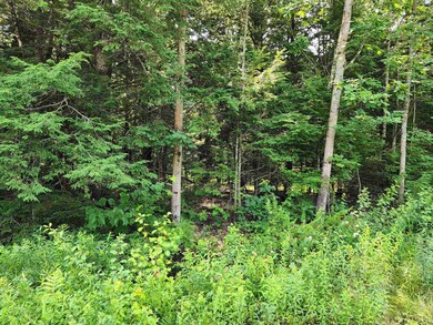 0 Creamery Rd, Fitzwilliam, NH 03447 - photo 5