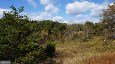 0 Jordan Hollow Ln unit 1000167925, Berkeley Springs, WV 25411 - photo 4