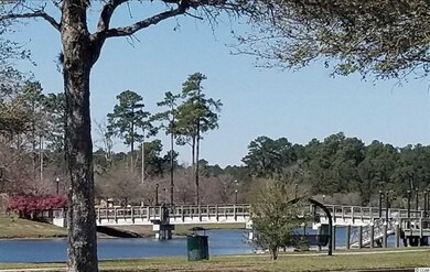 745 Berkshire Ave unit Lot 22, Myrtle Beach, SC 29577 - photo 2