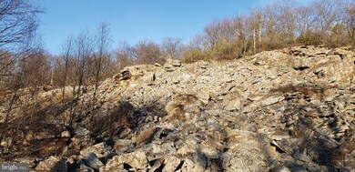 265 S Branch Mountain Rd, Moorefield, WV 26836 - photo 3