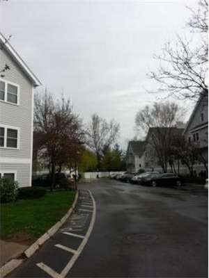 41 Harrison St unit 13A, Roslindale, MA 02131 - photo 2