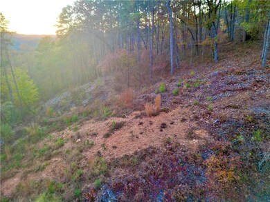 Nature at dusk featuring a view of trees