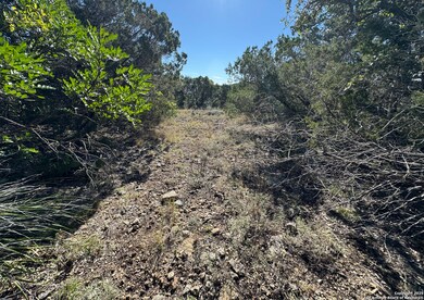 LOT 182 County Road 2816, Mico, TX 78056 - photo 5