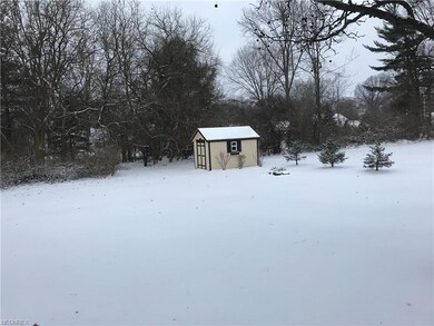 Nice sized private back yard with a storage shed