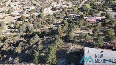 Lot 316 Eddie Ward, Silver City, NM 88061 - photo 3