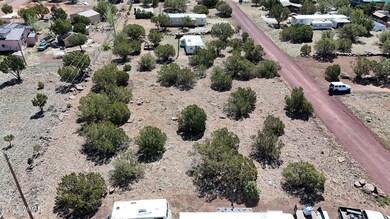 DJI_20250520094859_0002_D