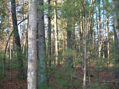 0 Crescent Rd unit 1669467, Byron, WI 54666 - photo 7