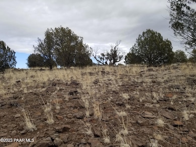 Lot 76 Juniperwood Ranch, Ash Fork, AZ 86320 - photo 3