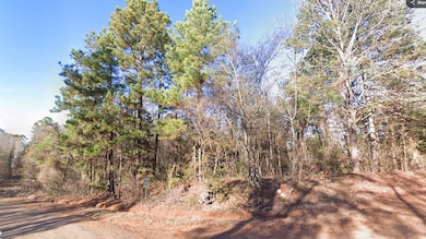 0 County Road 2117, Douglassville, TX 75560 - photo 5