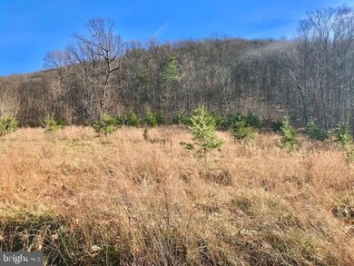 0 Roy Hyre Hollow Rd unit WVGT2000174, Petersburg, WV 26847 - photo 3