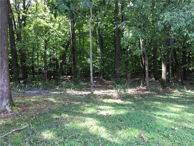 Woods looking into the property totaling 3+ Acres.