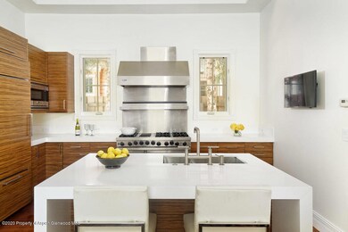 234 W Hallam St unit 234, Aspen, CO 81611 - photo 6