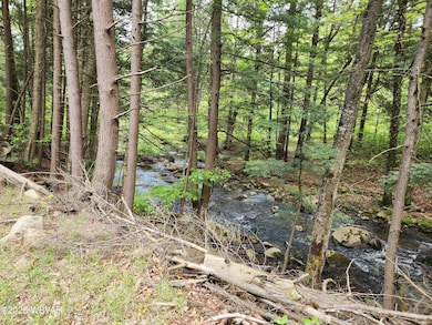 0 Pole Bridge Rd unit LOT 38 WB-100450, Laporte Township, PA 17758 - photo 4