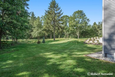 Huge Backyard