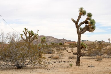 0 Anita Ave unit 25623532, Yucca Valley, CA 92284 - photo 4