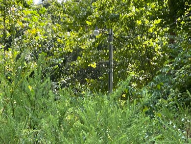 528 Black Oak Rd, Mammoth Spring, AR 72554 - photo 4