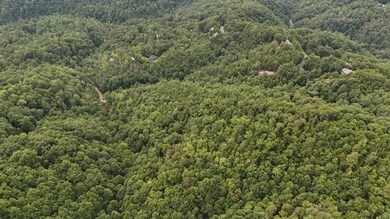 0 S King Branch Rd unit RTC2908148, Sevierville, TN 37876 - photo 2