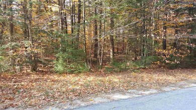 Lot 4 Alpine Rd, Bridgewater, NH 03222 - photo 2