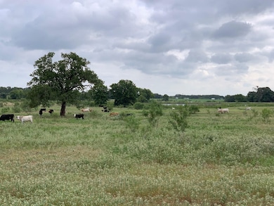 1119 Old Adams Ln, Pleasanton, TX 78064 - photo 5