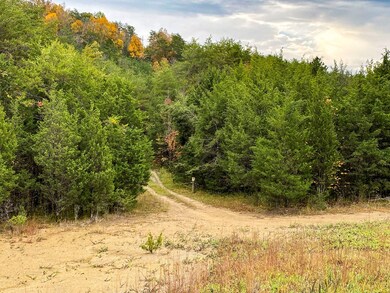 0 Parrotts Chapel Rd unit 245876, Sevierville, TN 37876 - photo 3