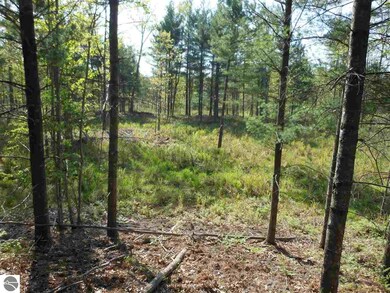 0 Powerline Rd unit 1847246, Whittemore, MI 48770 - photo 3