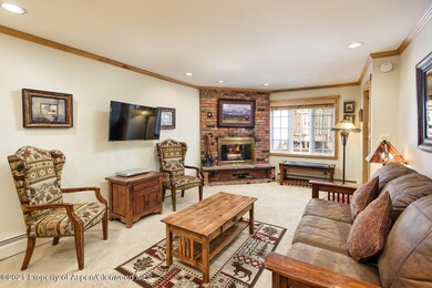 630 S Mill St unit 3A, Aspen, CO 81611 - photo 7