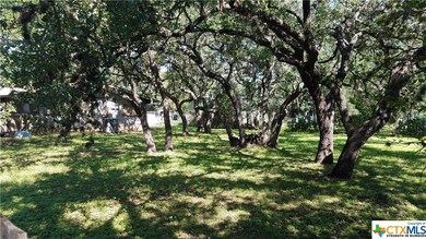 809 Dale Dr, San Marcos, TX 78666 - photo 5