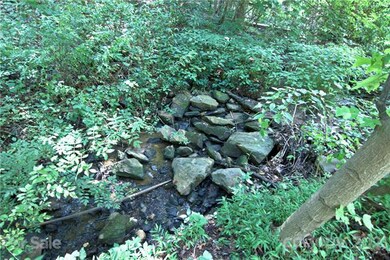15 Simpson Hollow Rd, Asheville, NC 28803 - photo 4