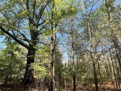 0 Nation Rd, Deville, LA 71328 - photo 5