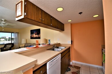 New dishwasher  and garbage disposal