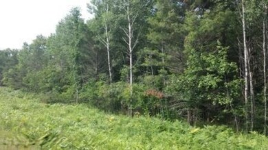 0 Broadway unit par K 17039069, Idlewild, MI 49642 - photo 4