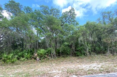 Southwest Florida homesite at corner of Chris Terr