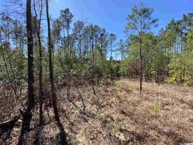 TBD 11.7 Wilderness Ln, Loris, SC 29569 - photo 3