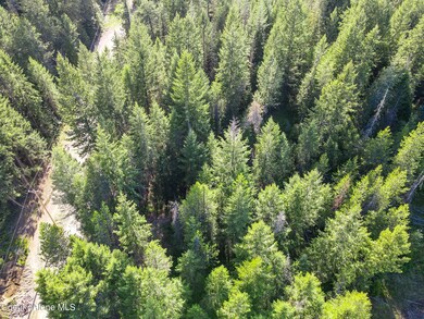 NNA N Rosemere St, Rathdrum, ID 83858 - photo 4