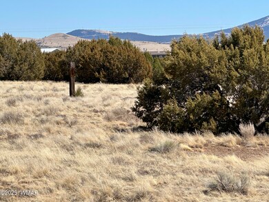 0 Lot 185 Lakeview Ranch Unit 4 unit 255032, Concho, AZ 85924 - photo 5