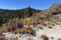 SH Lot 81 & 82 View