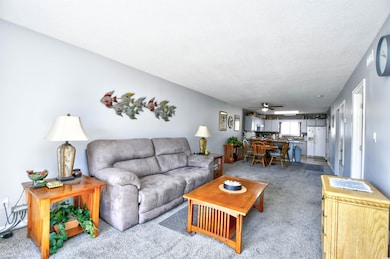 Living room featuring carpet flooring, a ceiling fan, and a textured ceiling
